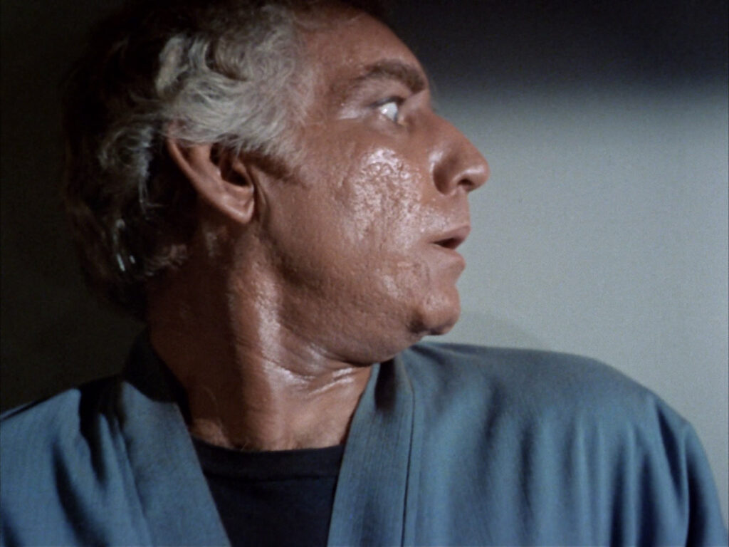 A stowaway on the Enterprise!